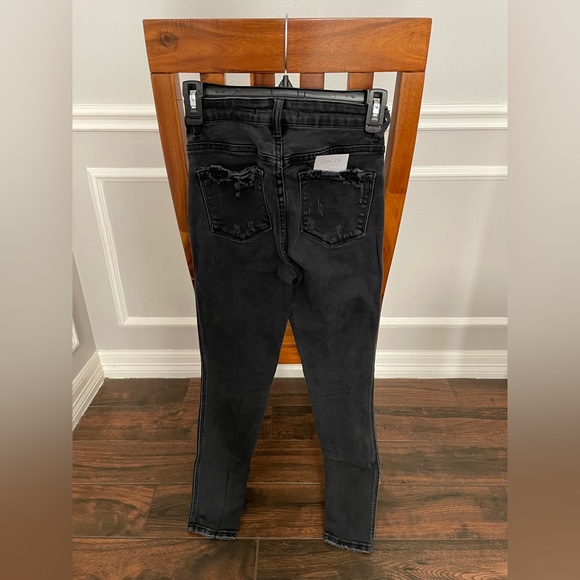 Flying Monkey - Picture 2 of 2